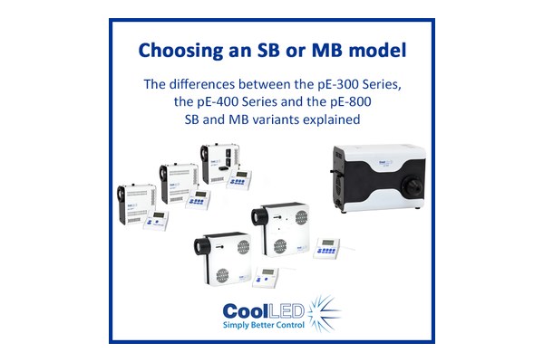 Choosing an SB or MB model