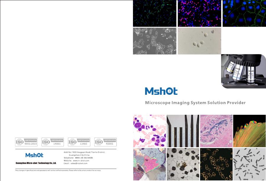 Microscope And Attachments 2025